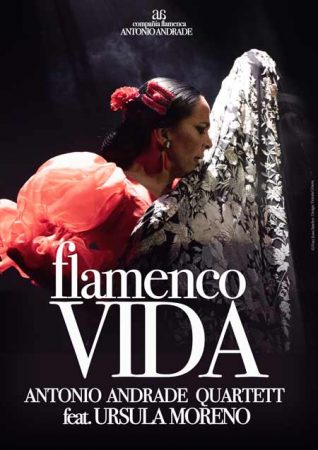 Ein Leben mit Flamenco kann bereichernd sein, wie Flamenco - Vida von Antonio Andrade zeigt. Foto: Antonio Andrade
